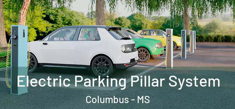 Electric Parking Pillar System Columbus - MS