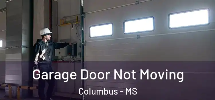  Garage Door Not Moving Columbus - MS