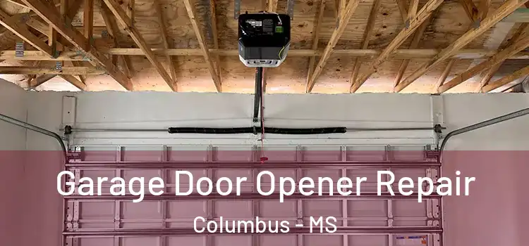  Garage Door Opener Repair Columbus - MS