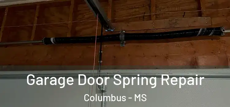  Garage Door Spring Repair Columbus - MS