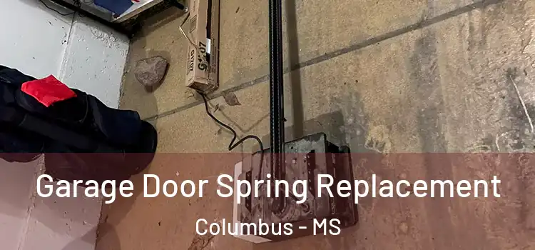  Garage Door Spring Replacement Columbus - MS
