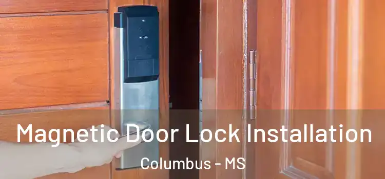  Magnetic Door Lock Installation Columbus - MS
