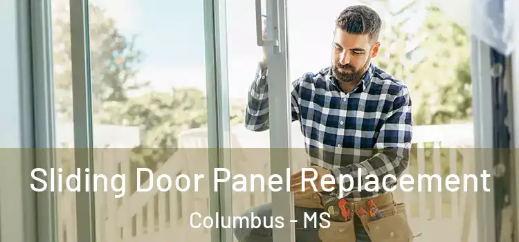  Sliding Door Panel Replacement Columbus - MS