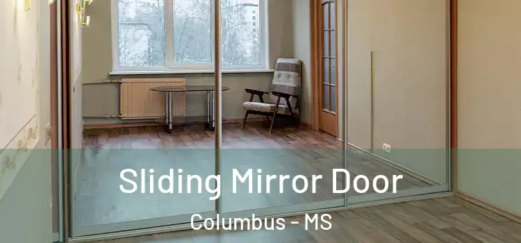  Sliding Mirror Door Columbus - MS